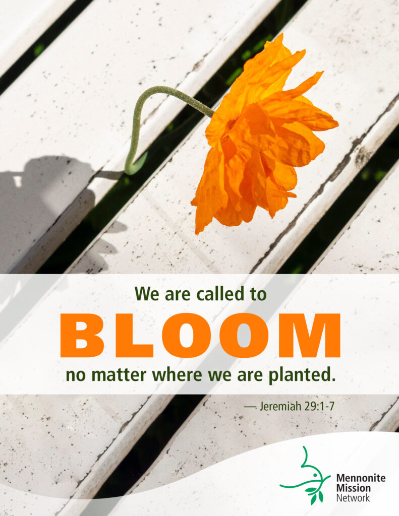 Bloom where you are