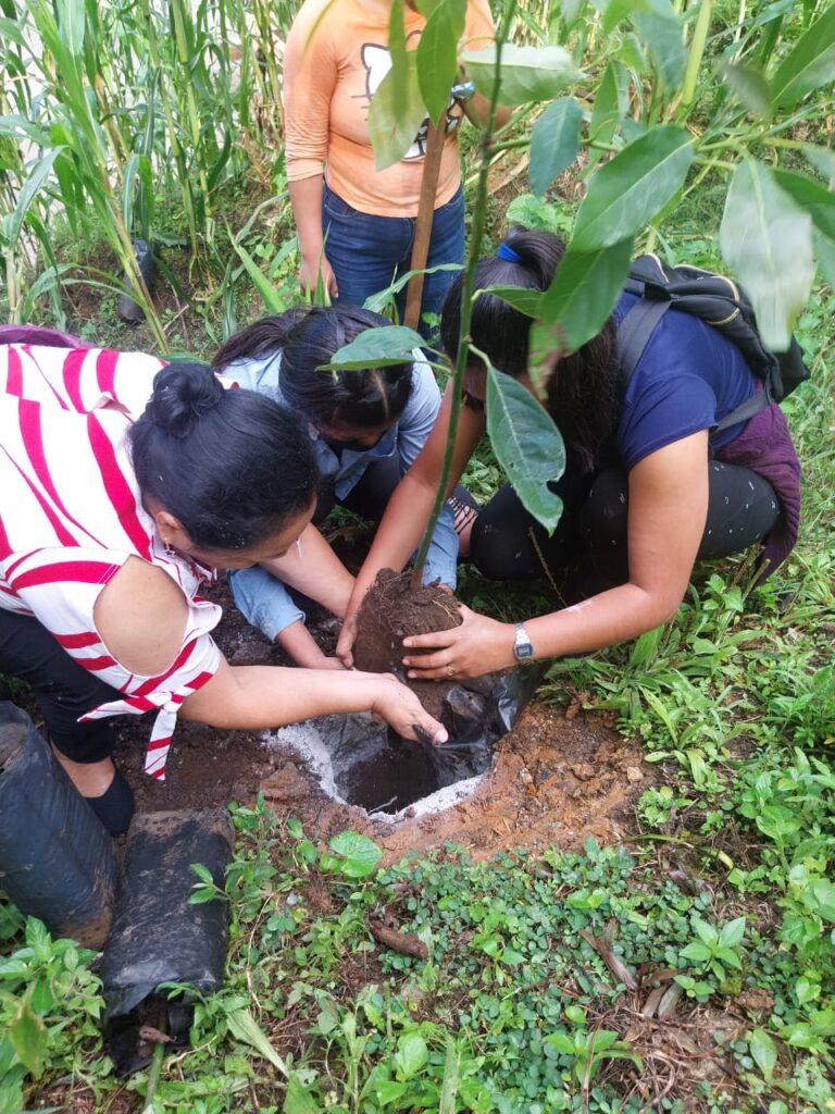 Professor Luvia Guillermo de Ac (left) assists students in planting an avocado tree.