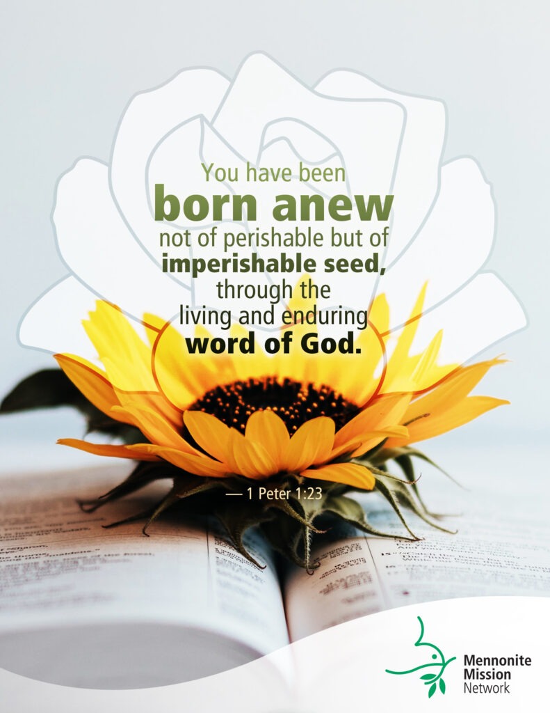 Imperishable seed