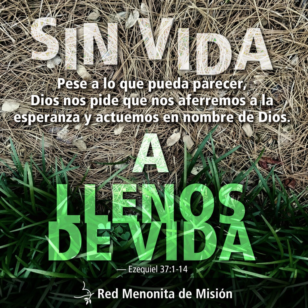 Sin vida a llenos de vida