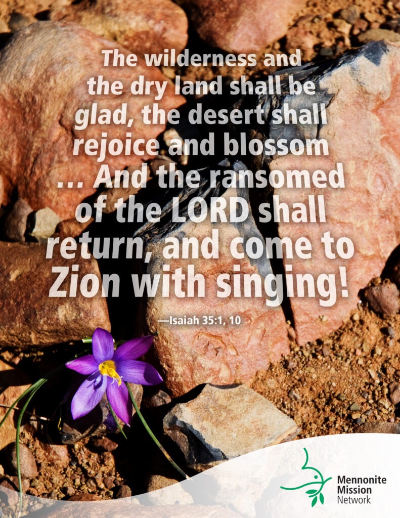 The ransomed of the Lord shall return