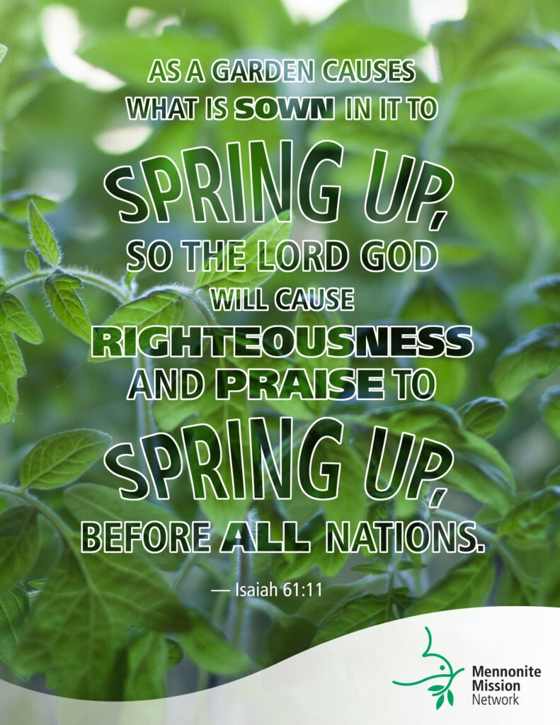 Righteousness springs up