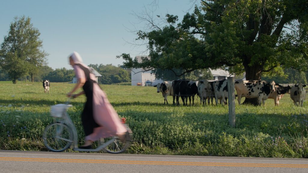 An Amish woman on a scooter passes a pasture full of milk cows during filming in Nickel Mines, Pennsylvania. Photo courtesy of Dove Tail Productions.