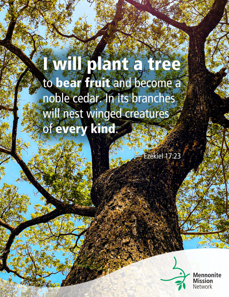 I will plant a tree