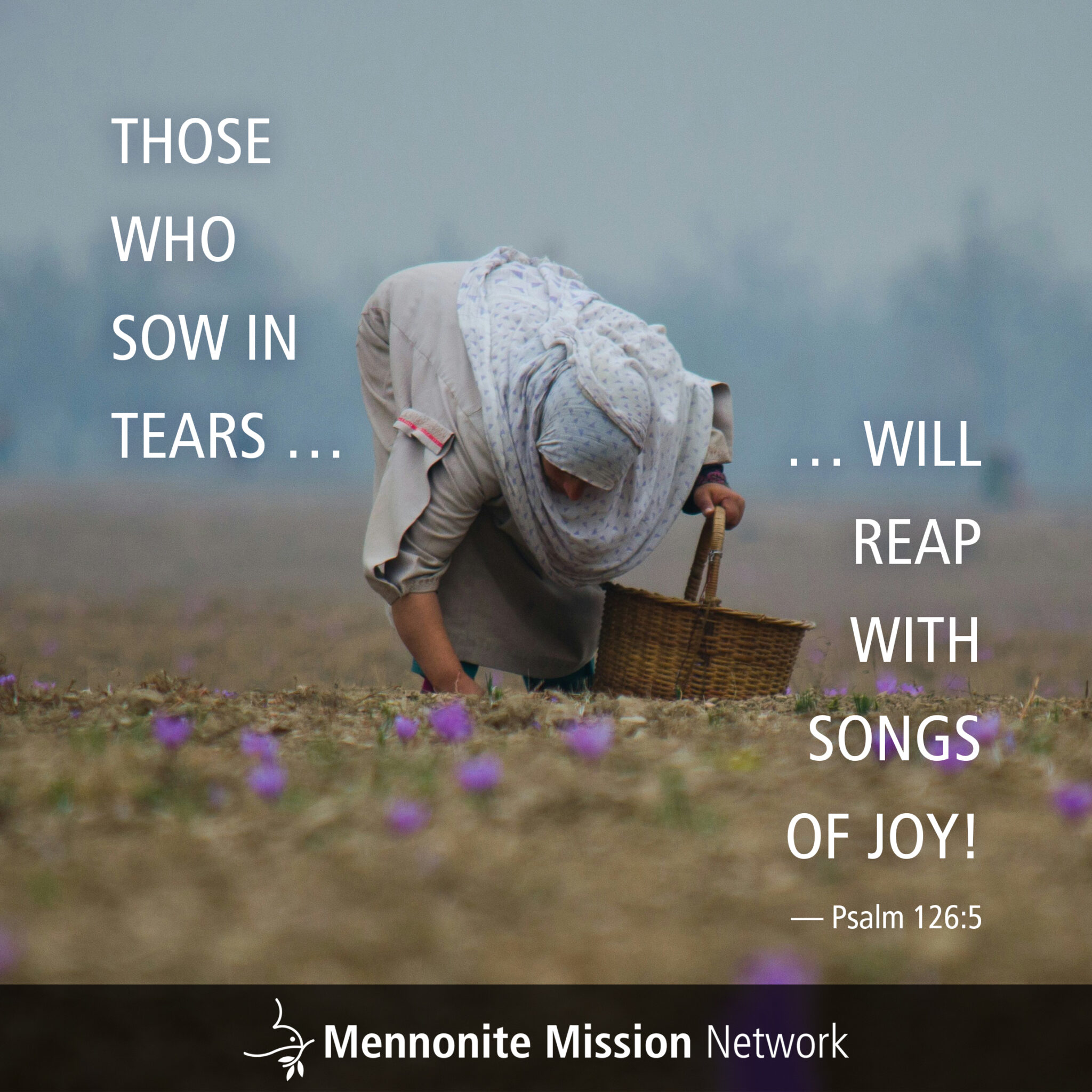 Sow in tears - Mennonite Mission Network