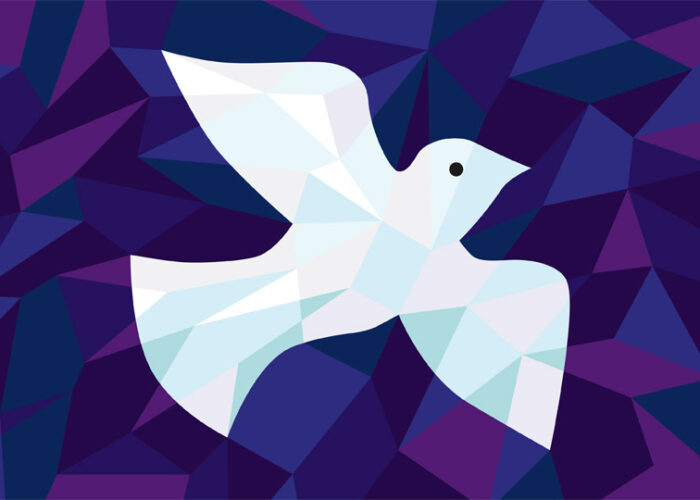 04_dove