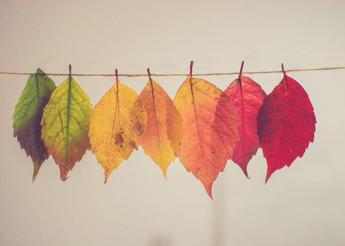 ​​Photo by Chris Lawton on Unsplash.