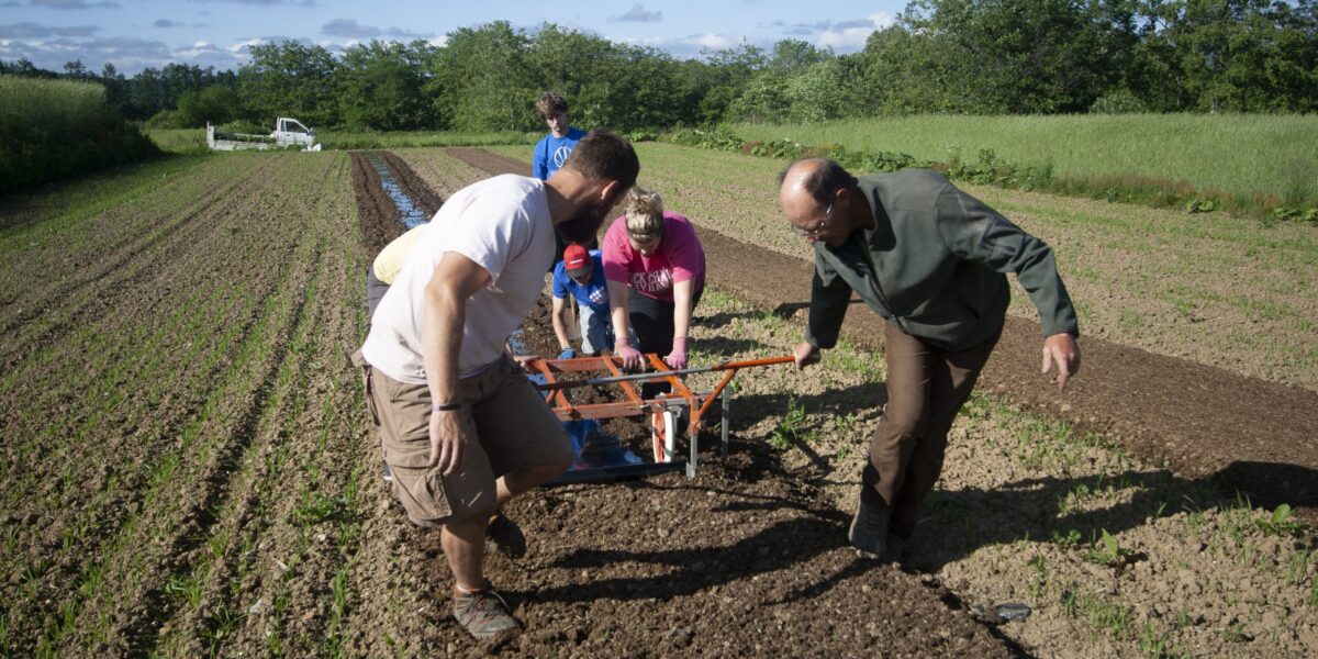 Youth Venture leaders Andy and Abby Findley "break new grounds" planting potatoes with participants Matthew Rodenberg