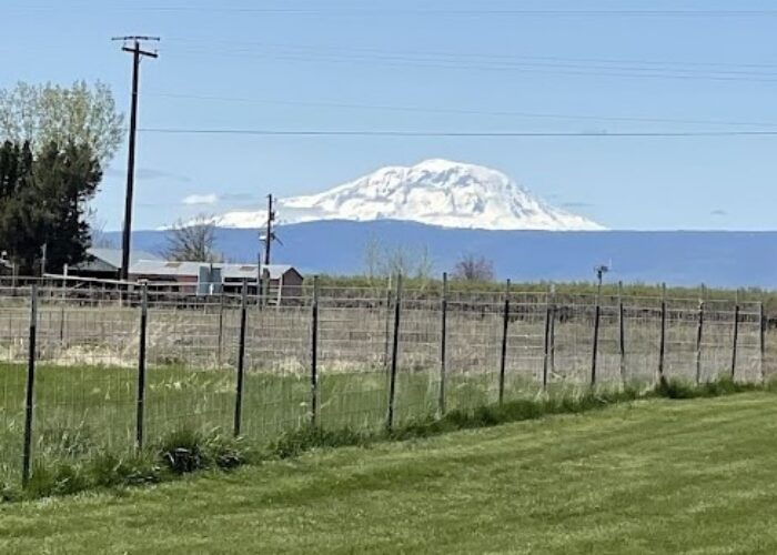 Mt. Adams