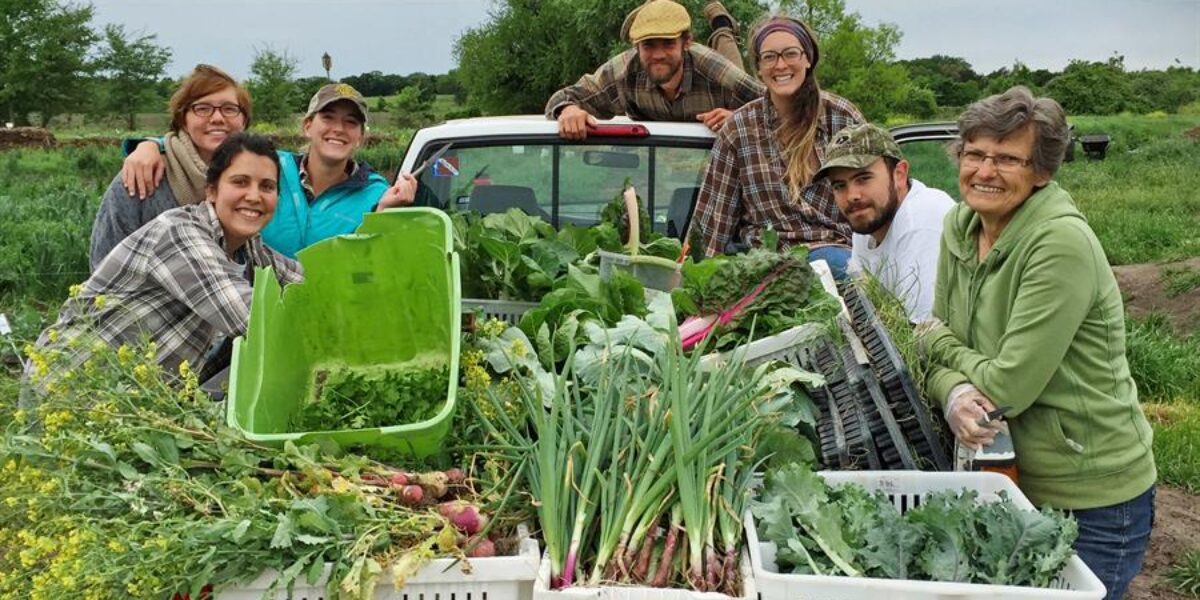 ​(Left to right) Interns and long-term volunteers Gina Anderson