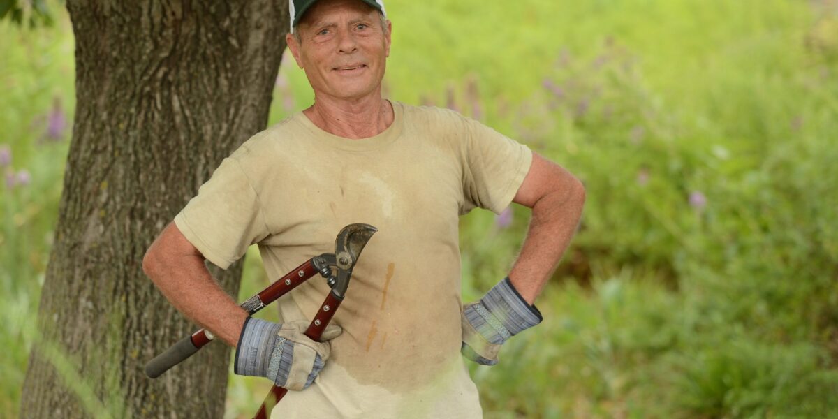 Bob King trimming trees at the Dyck Arboretum of the Plains