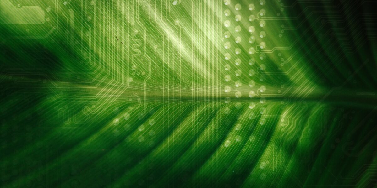 Sent-circuit-board-foliage-andreea-popa-z7CyPm9uKmA-unsplash-copy