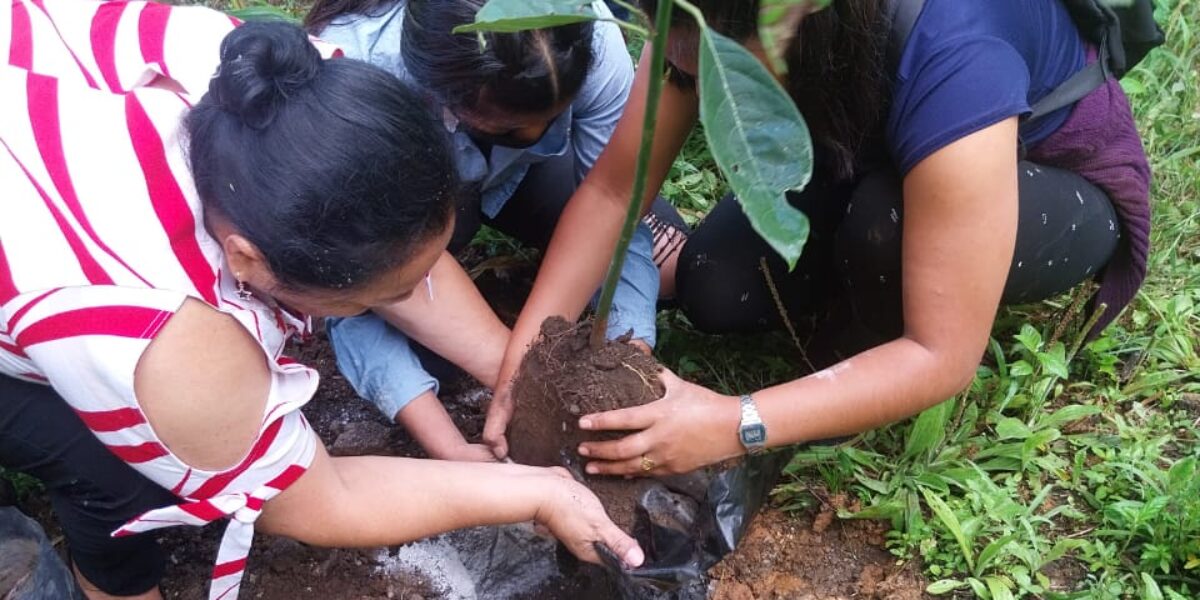 Professor Luvia Guillermo de Ac (left) assists students in planting an avocado tree.