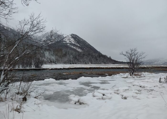 The Turnagain Arm waterway and surrounding mountains as seen from outside Hope, Alaska. Photo by Mir Knego.