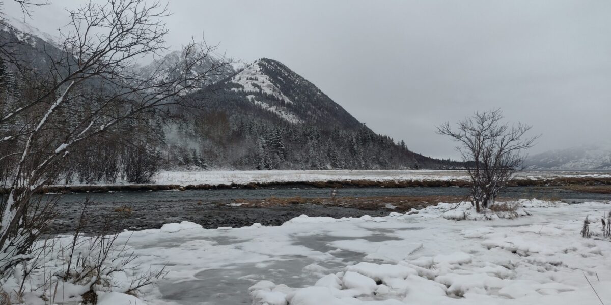 The Turnagain Arm waterway and surrounding mountains as seen from outside Hope, Alaska. Photo by Mir Knego.